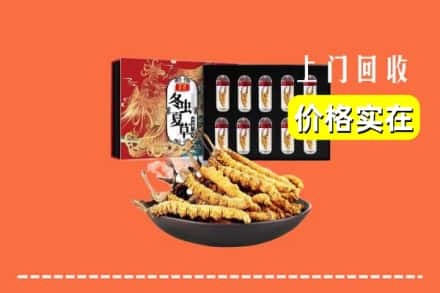 丽江玉龙县回收虫草